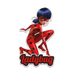 Adorno Movil Lady Bug