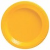 platos desechables amarillos grandes